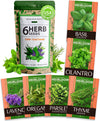 15 Culinary Herb Seeds Vault - Heirloom & Non GMO (2X More) 4900+ Seeds for Planting Indoor or Outdoor Herbs Garden | Gardening Gift for Men Women - Basil, Cilantro, Chives, Lavender, Mint, Thyme