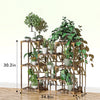 Plant Stand Indoor, Outdoor Wood Plant Stands for Multiple Plants, Tiered Plant Shelf Table Plant Pot Stand for Living Room, Patio, Balcony